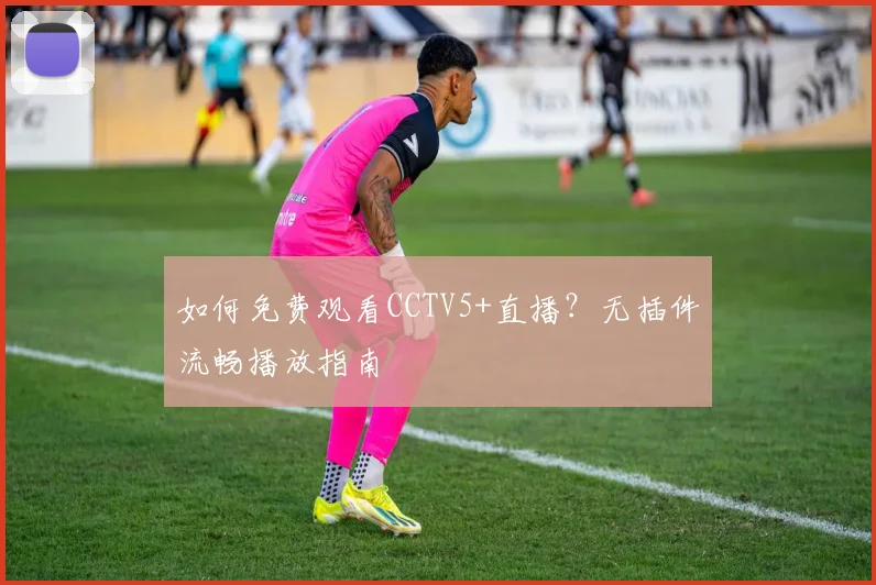 如何免费观看CCTV5+直播？无插件流畅播放指南