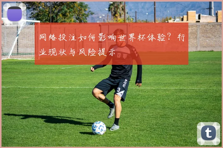 网络投注如何影响世界杯体验？行业现状与风险提示