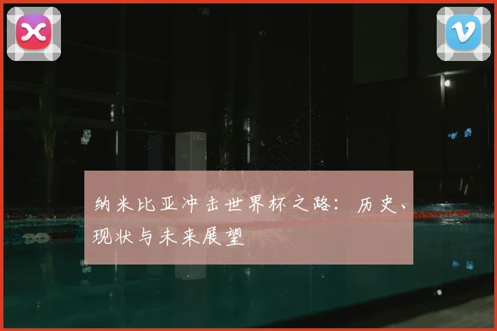 纳米比亚冲击世界杯之路：历史、现状与未来展望